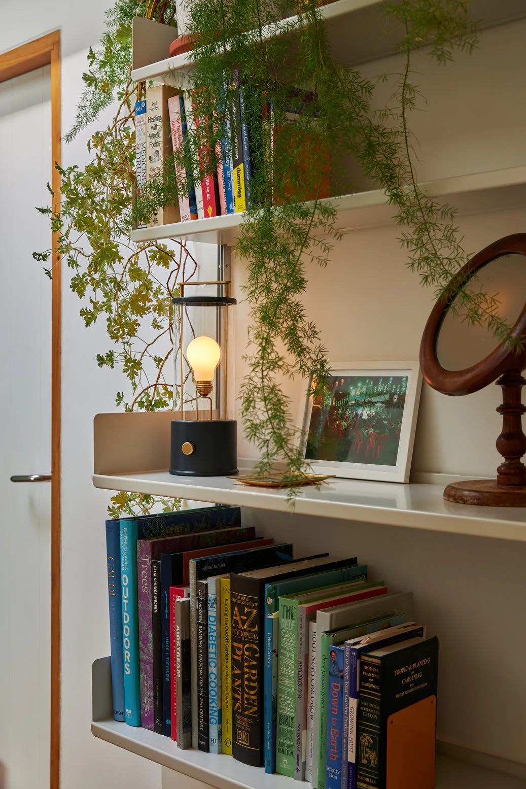 Tala Muse Portable Lamp in Farrow & Ball Hackles Black - Image 3