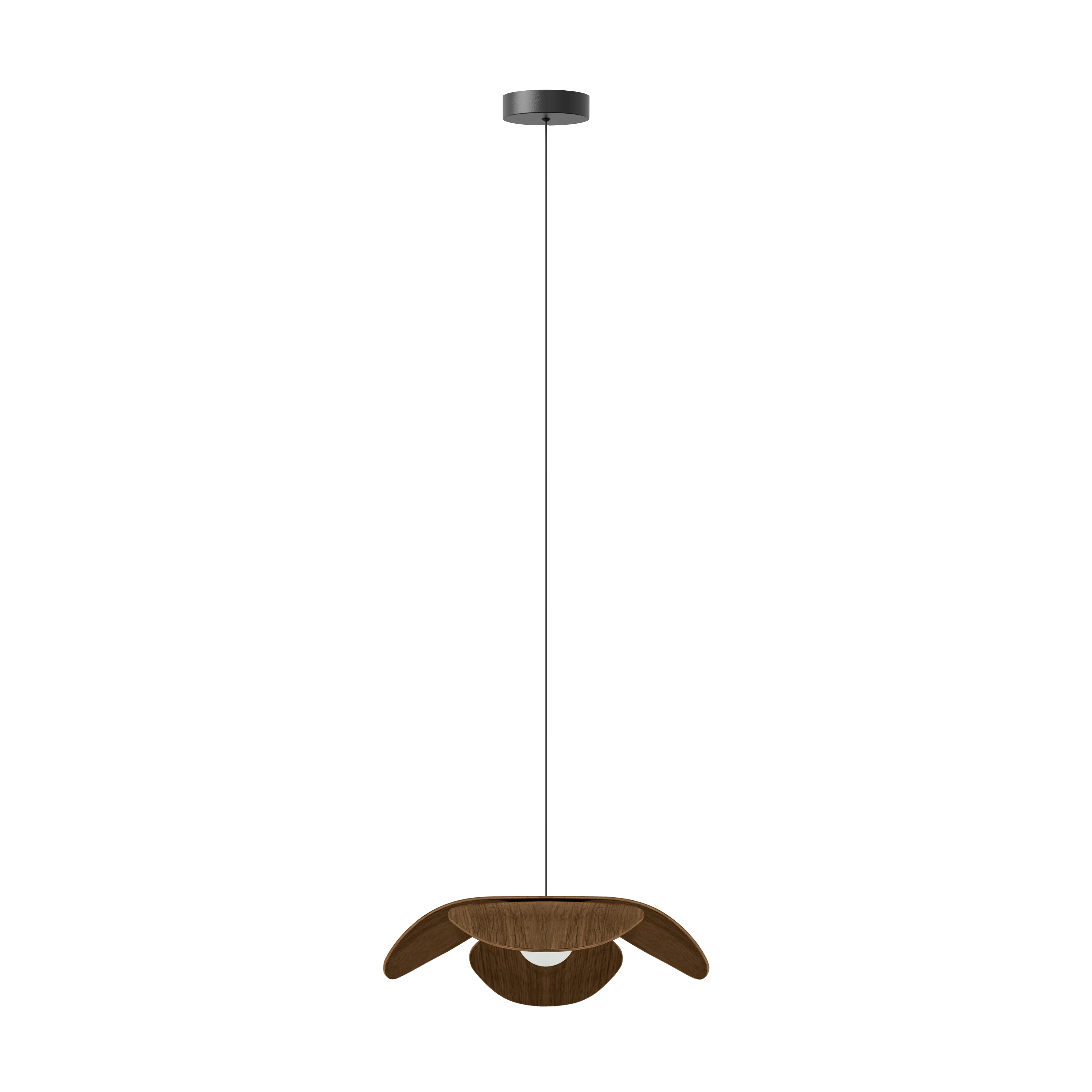 Umage Forget Me Not Wood Pendant Medium, Dark Oak - Image 2
